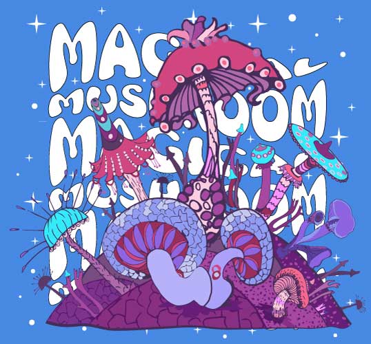 who are we magic mushrooms Cosmic Haus Cosmic Haus