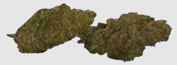 Sour Bubble Hybrid 28G $54 BLOW OUT SALE | Cosmic Haus