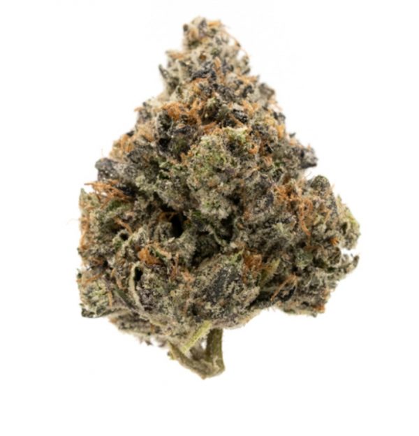 Rockstar Indica Blow Out Sale | Cosmic Haus