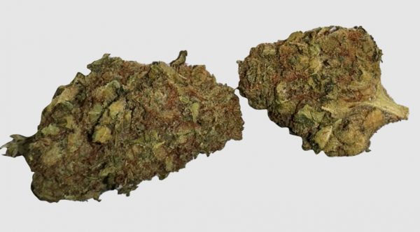 28G SFV OG Indica $45 Blow Out Sale | Cosmic Haus